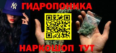 spice Моздок
